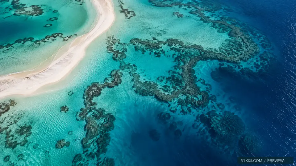 珊瑚浅湾 — 海岸 AI 原创壁纸水印预览